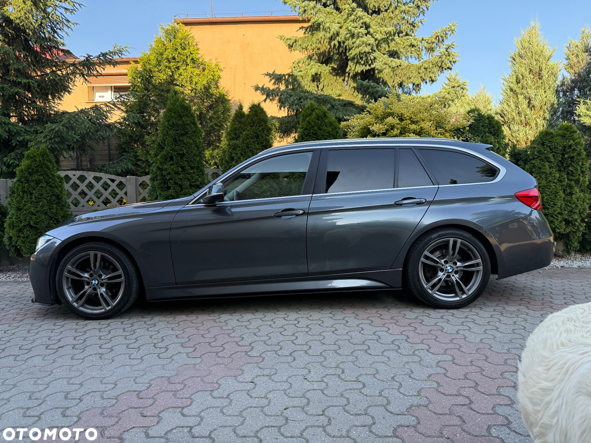 BMW Seria 3 320d Efficient Dynamics - 6