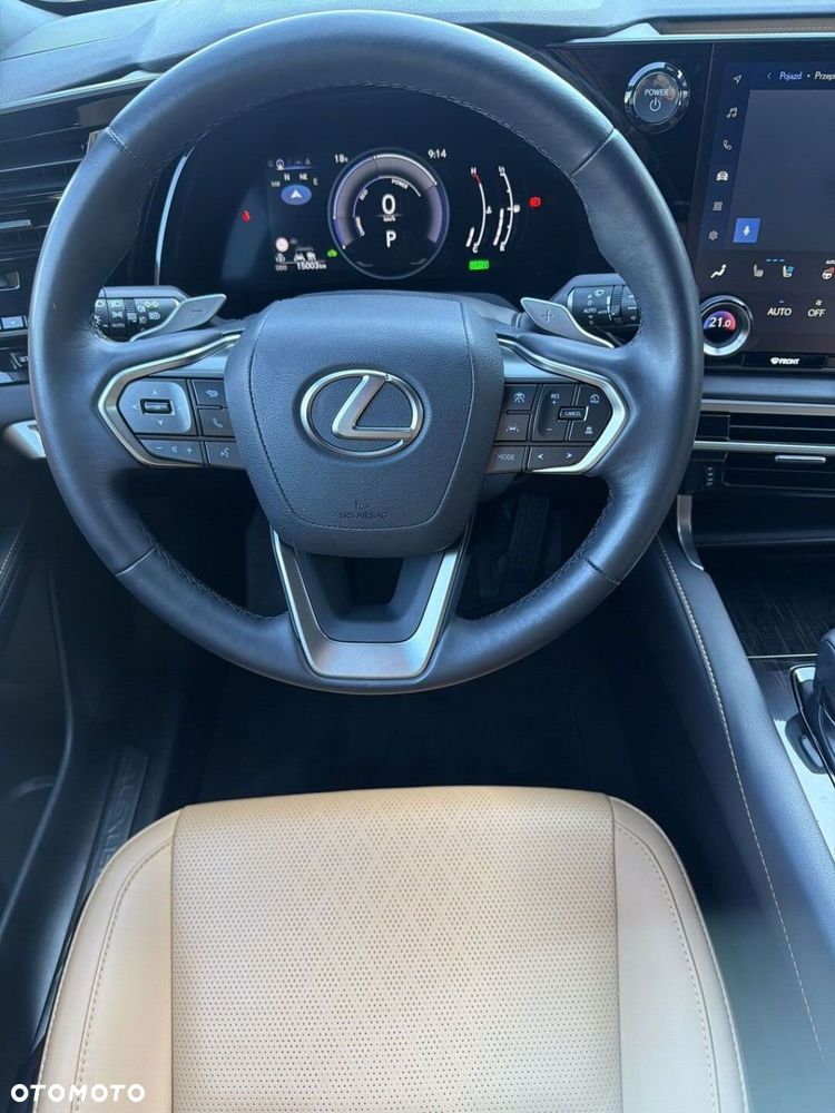 Lexus RX - 14