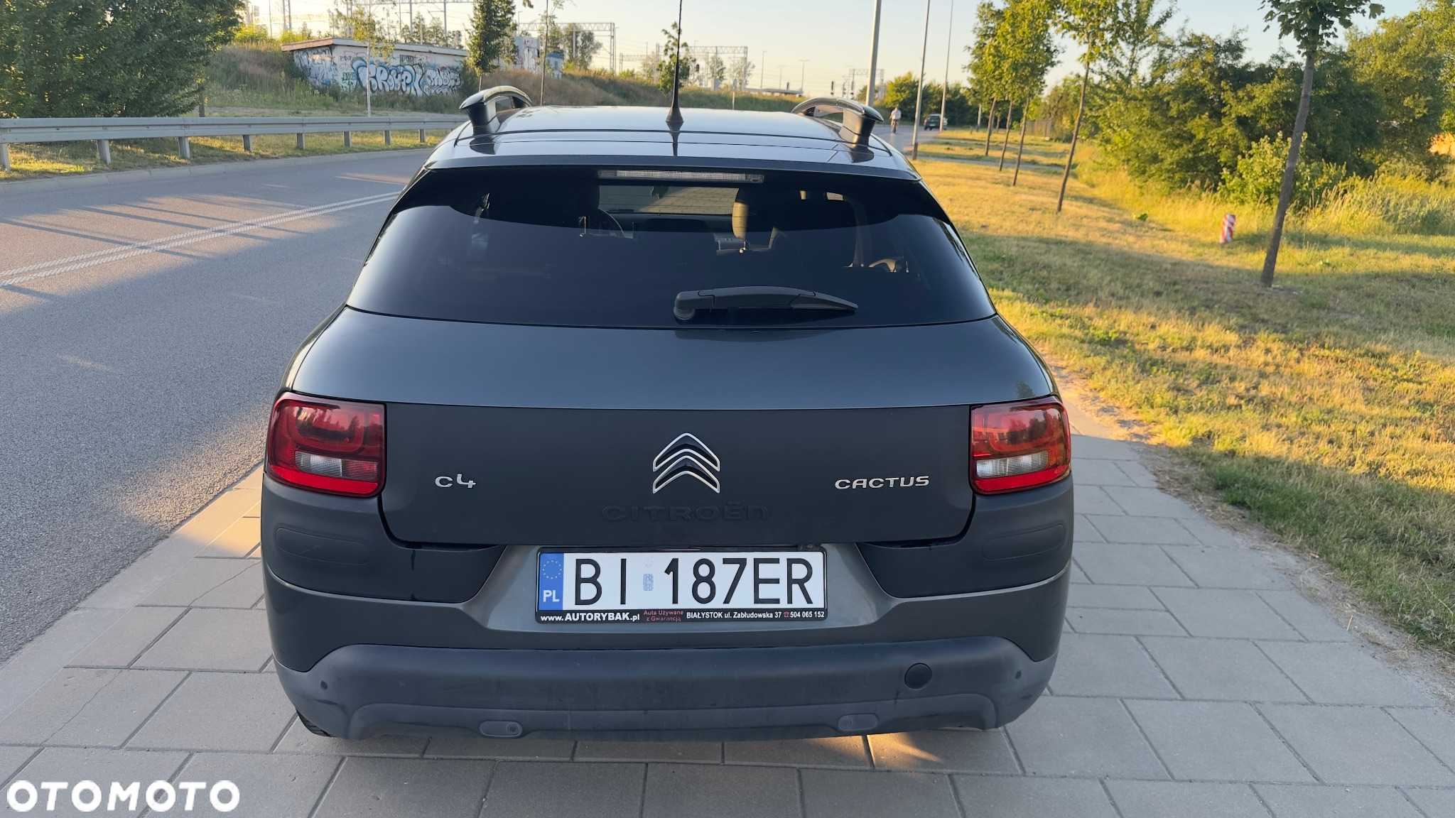 Citroën C4 Cactus 1.2 PureTech Feel EU6 - 6