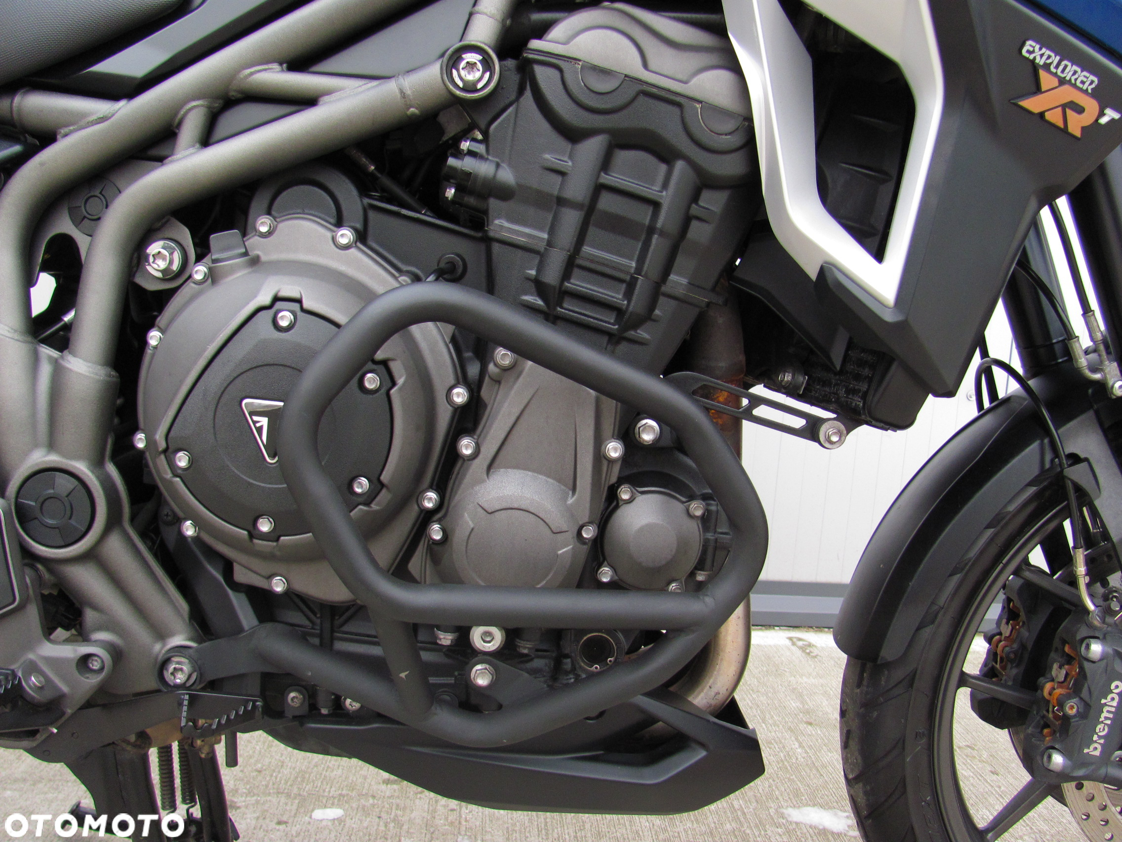 Triumph Tiger - 6