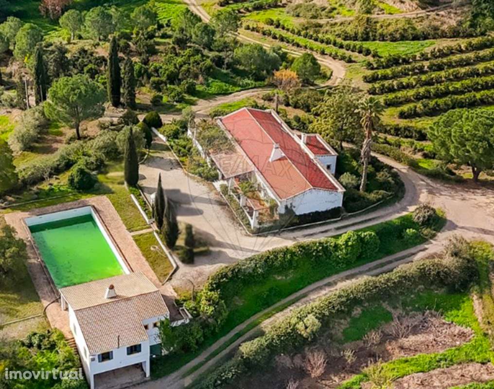 Quinta T13 para venda - Grande imagem: 2/15