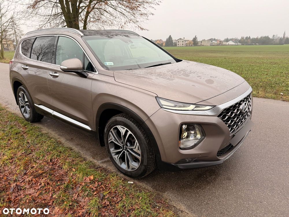 Hyundai Santa Fe 2.0 CRDi Platinum 4WD - 2