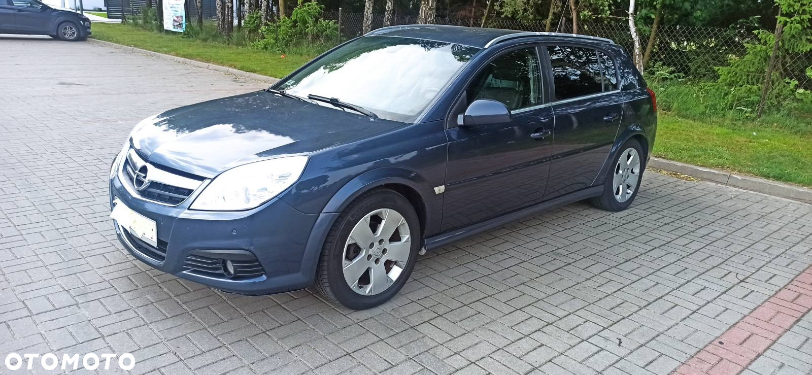 Opel Signum 1.9 CDTI - 2