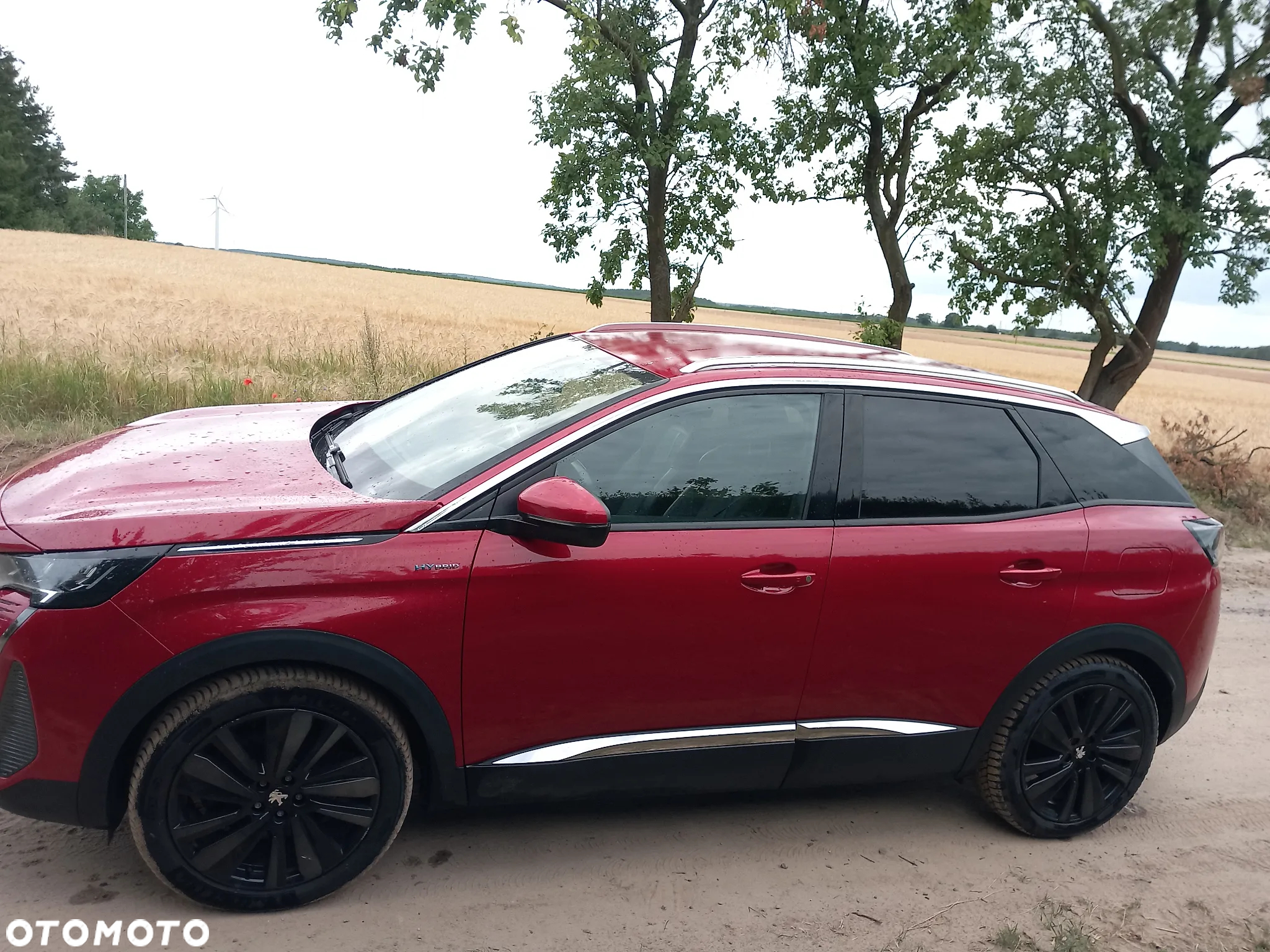Peugeot 3008 1.6 PureTech Hybrid PHEV Allure Pack S&S EAT8 - 2