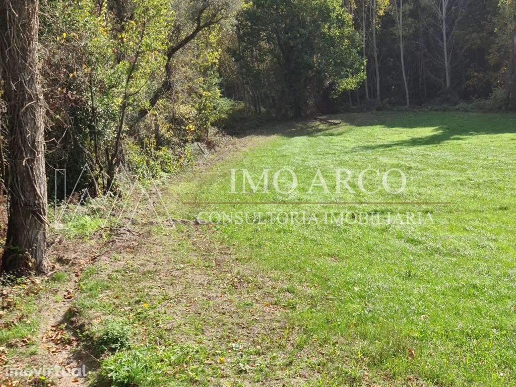 Terreno agrícola - Grande imagem: 3/14