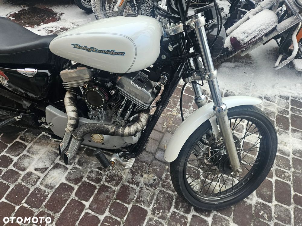 Harley-Davidson Sportster Custom 883C - 3