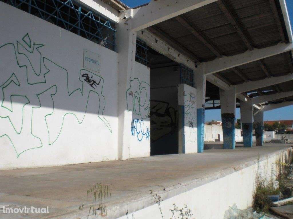 TERRENO MISTO NO MONTIJO - Grande imagem: 5/8