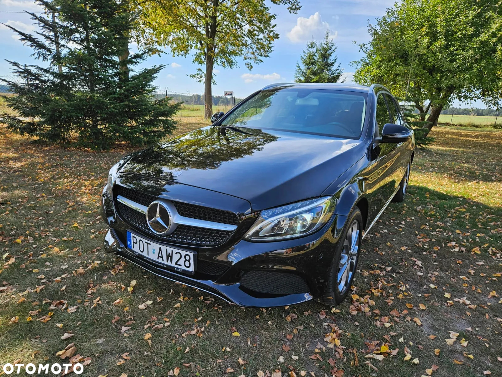 Mercedes-Benz Klasa C 250 d 4-Matic 9G-TRONIC - 5