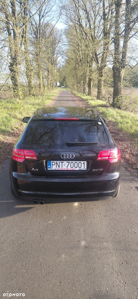 Audi A3 Sportback 2.0 TDI DPF Attraction - 19