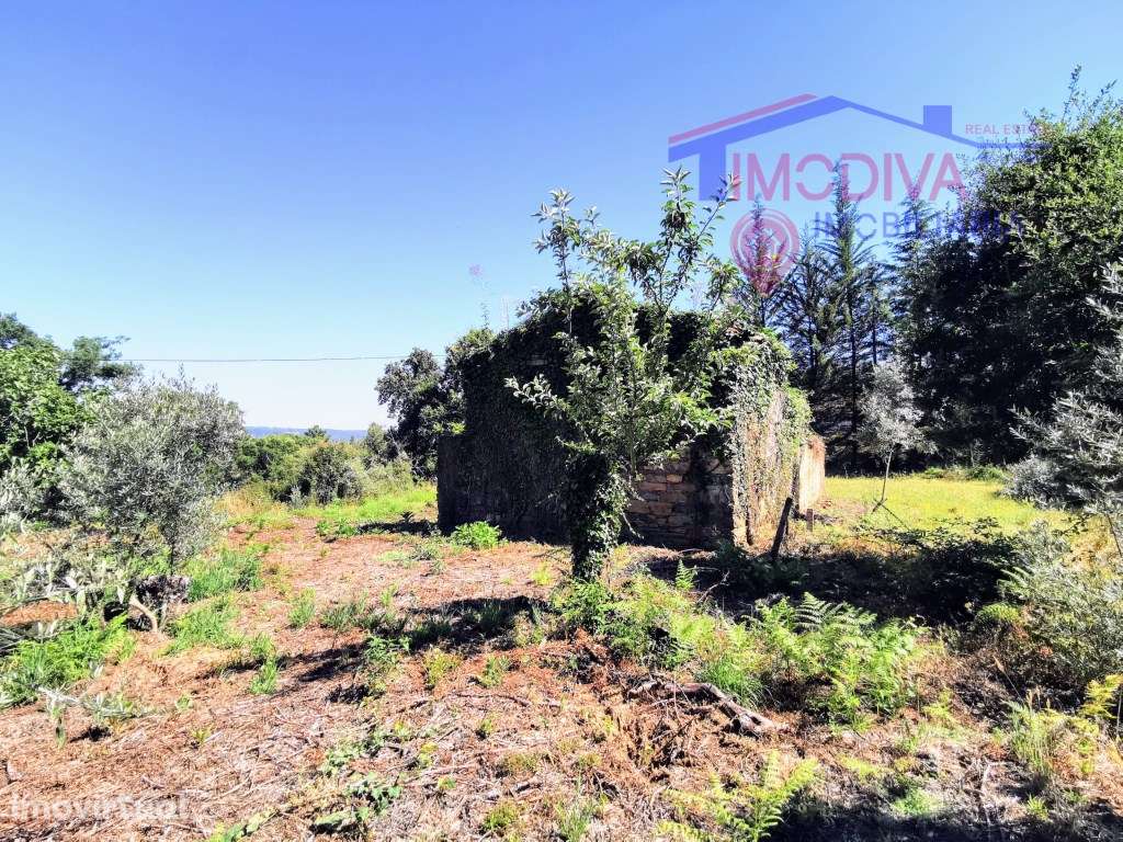 Casa de campo T1 para reconstrução na freguesia da Graça - Grande imagem: 2/10