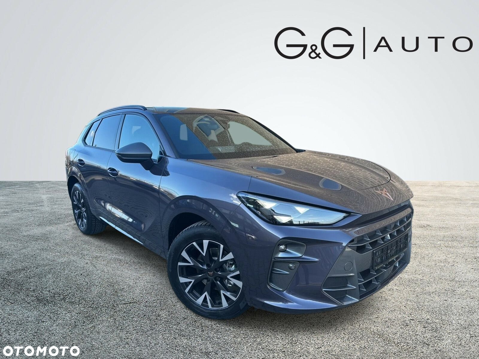 Cupra Terramar - 4