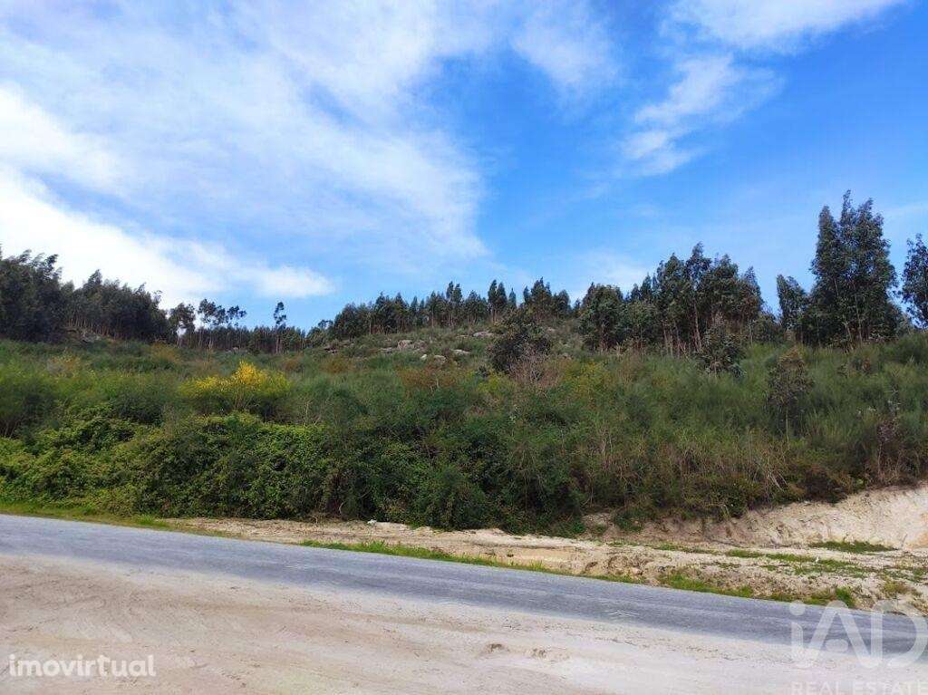 Terreno em Vila Boa de Quires e Maureles - Grande imagem: 3/11