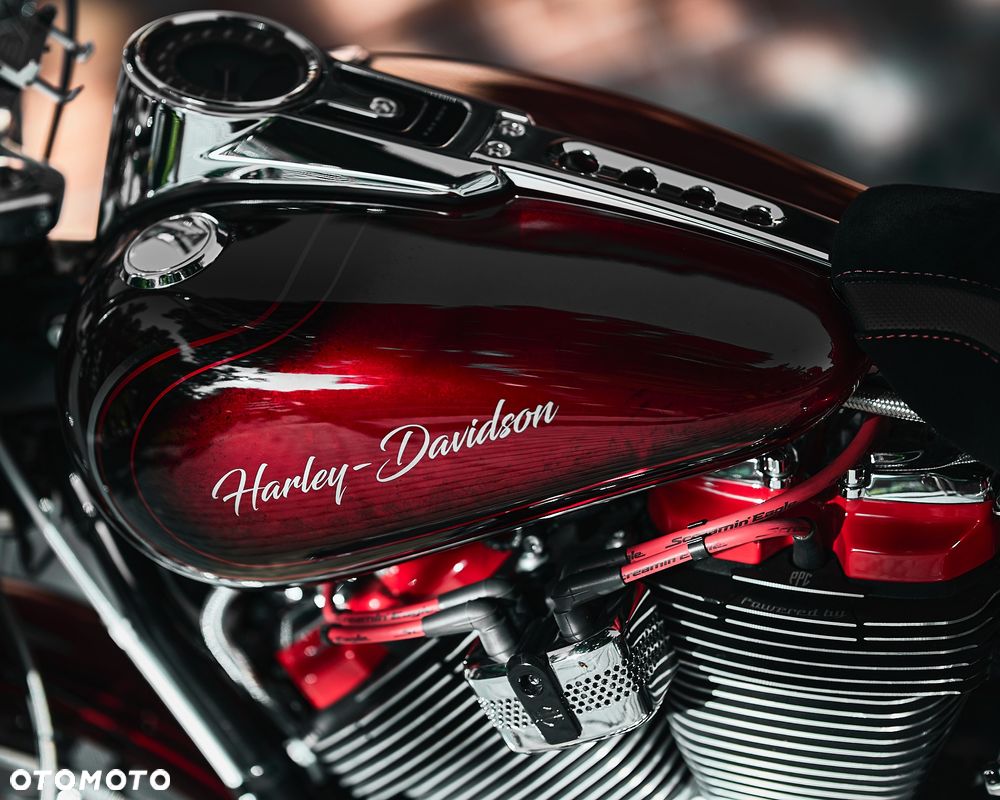 Harley-Davidson Softail Custom - 7
