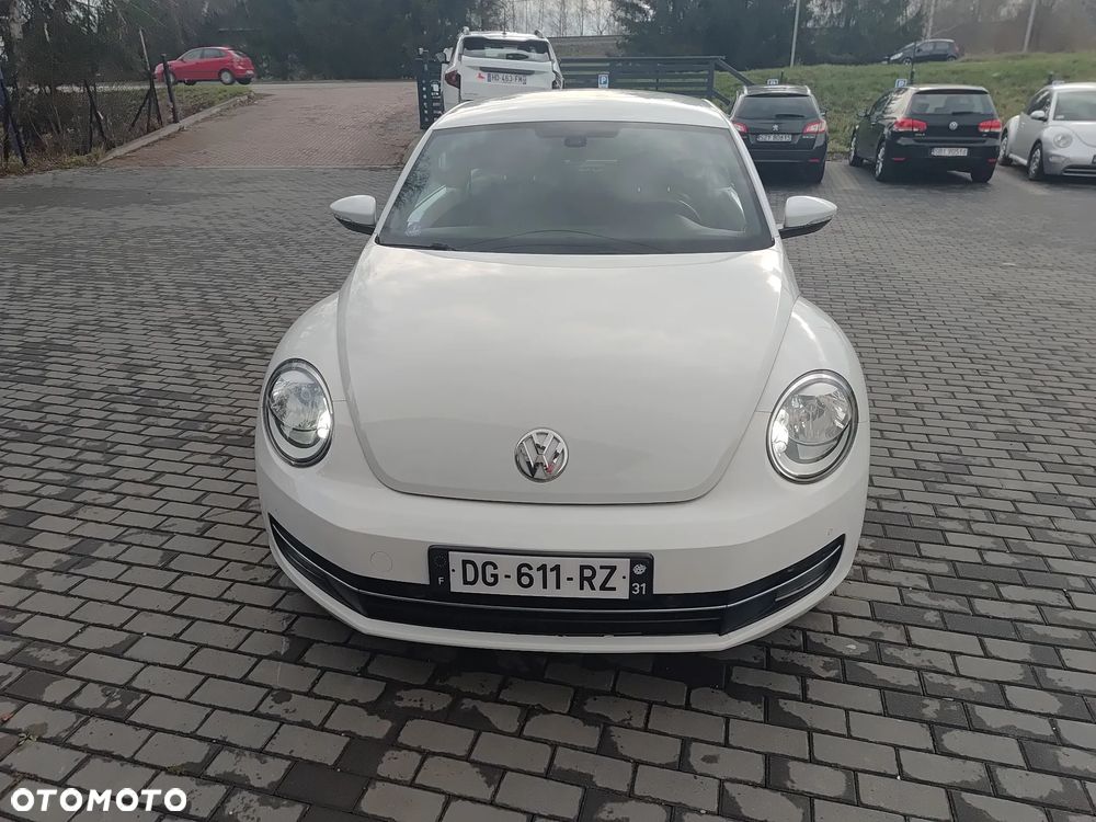 Volkswagen Beetle - 4