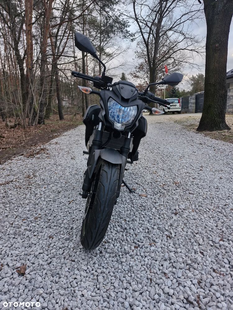 Kawasaki Z - 8