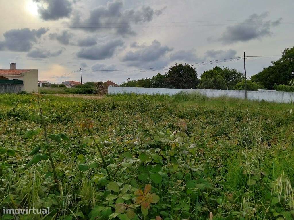 Lote de Terreno para construção de moradia - Aveiro / Aradas - Grande imagem: 5/6