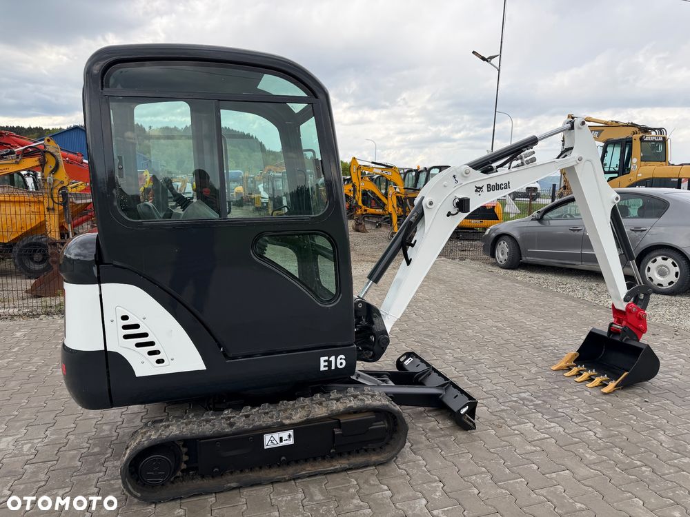 Bobcat - 5