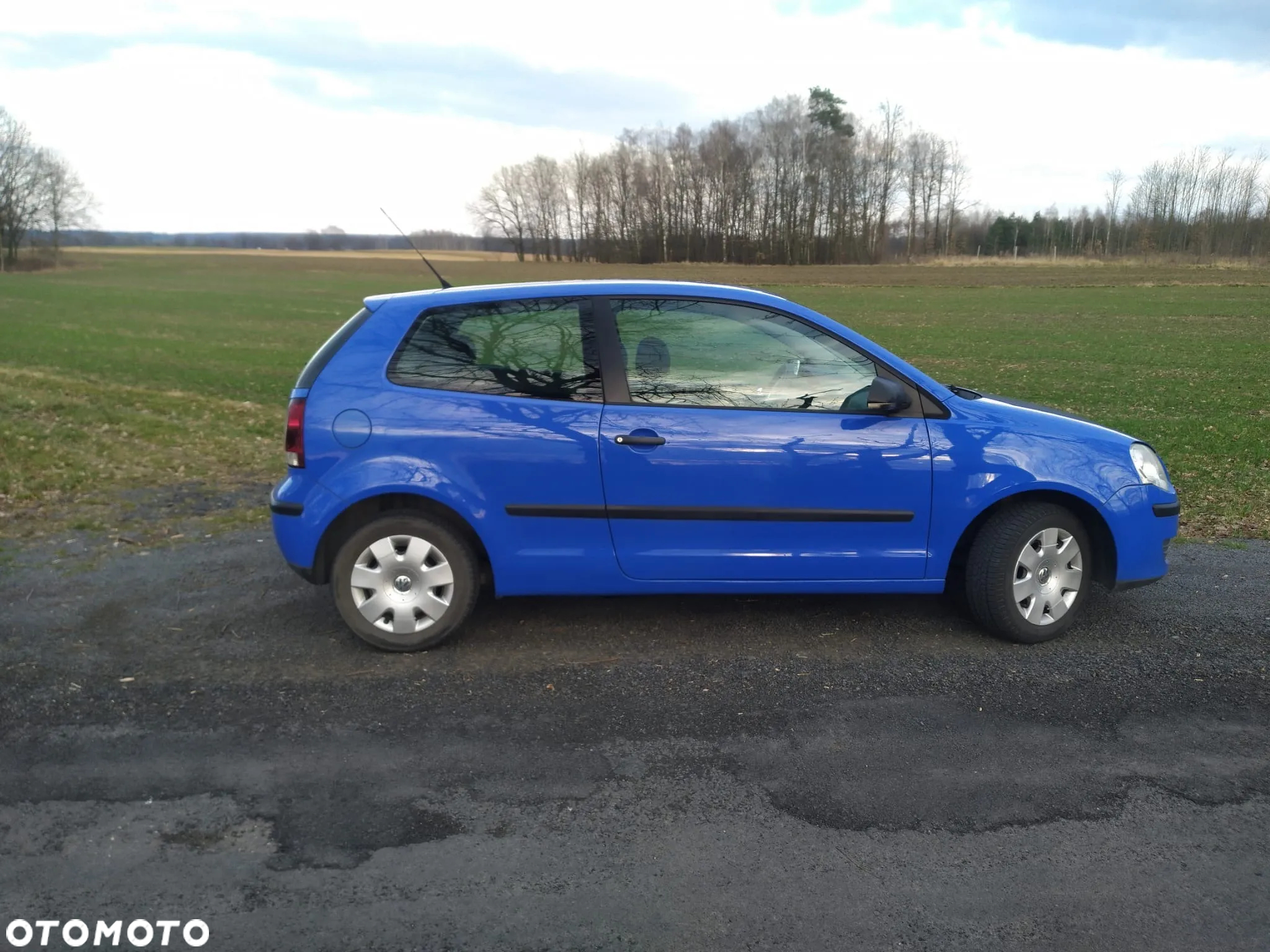 Volkswagen Polo - 4