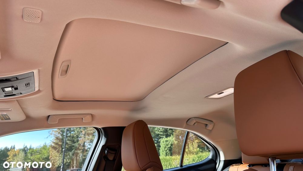 Lexus UX 250h GPF Prestige AWD - 17