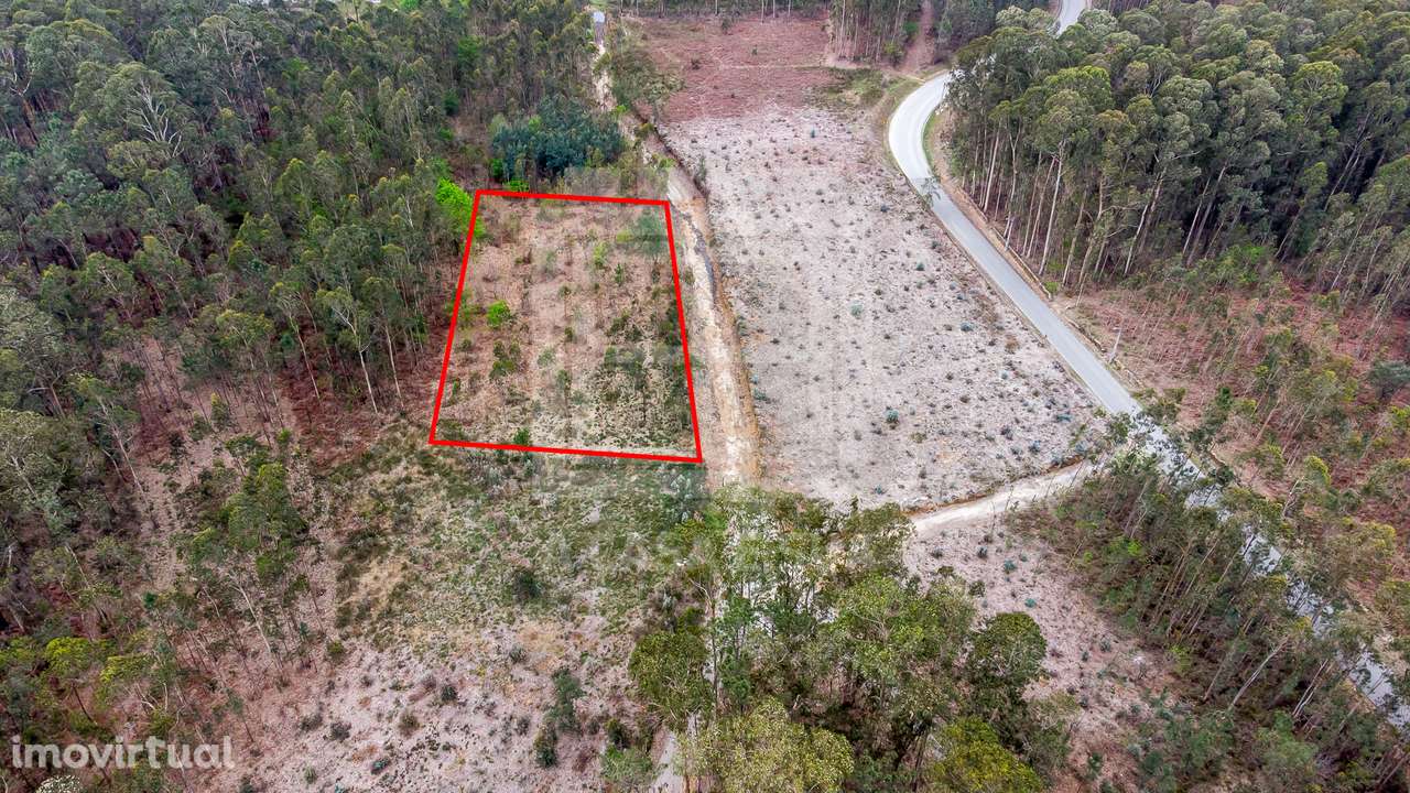 Terreno rústico com 4.100 m2 em Válega - Grande imagem: 3/11