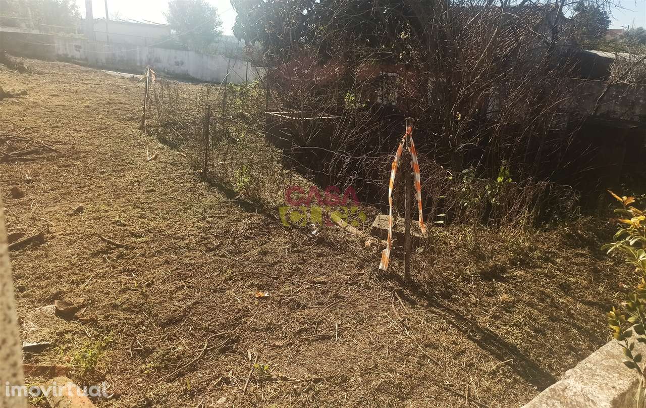 Moradia Devoluta T3 Venda em Torres Novas (São Pedro), Lapas e Ribeira - Grande imagem: 4/17