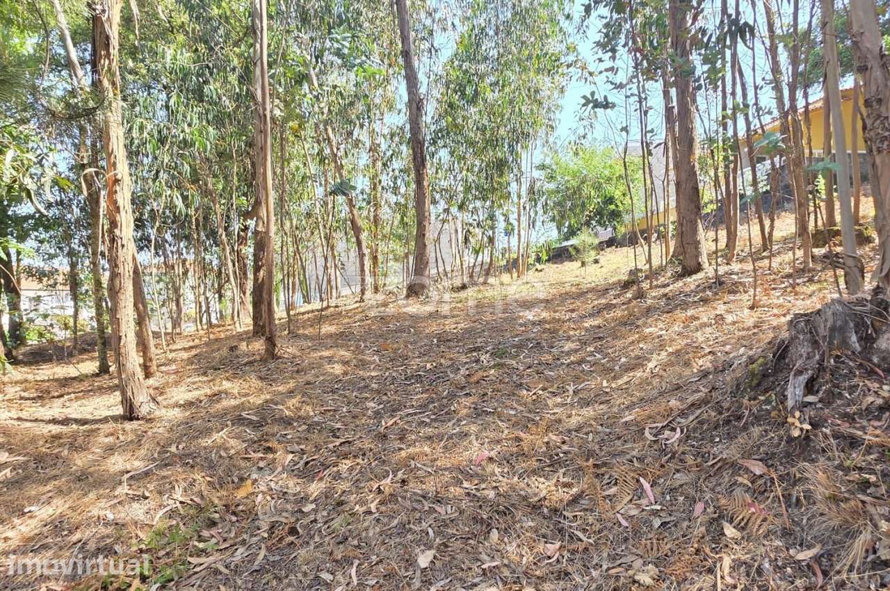 Terreno para construção em Airó - Barcelos - Grande imagem: 4/15