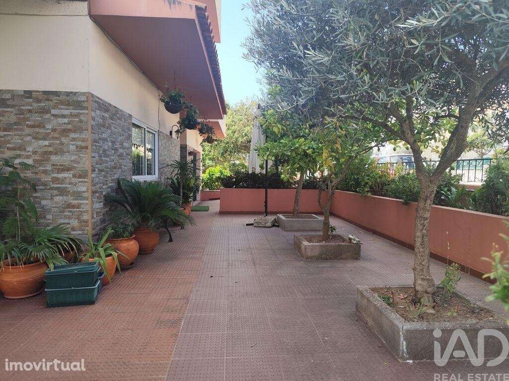 Casa de Cidade T4 em Mogadouro, Valverde, Vale de Porco e Vilar de Rei - Grande imagem: 3/30