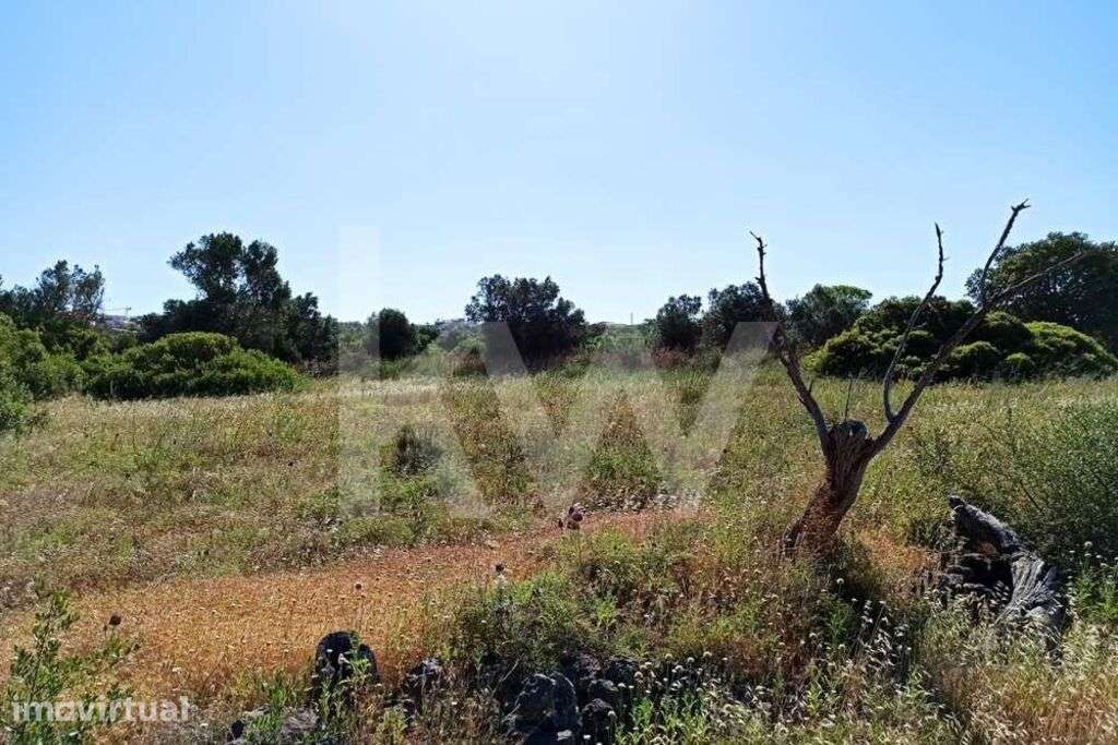 Terreno na freguesia de S. Sebastião/ Loulé, junto a zona industrial - Grande imagem: 3/9