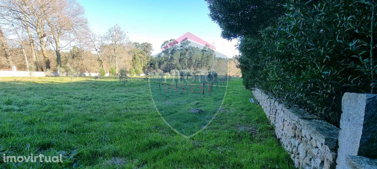 Quinta  Venda em Rio de Loba,Viseu - Grande imagem: 4/10