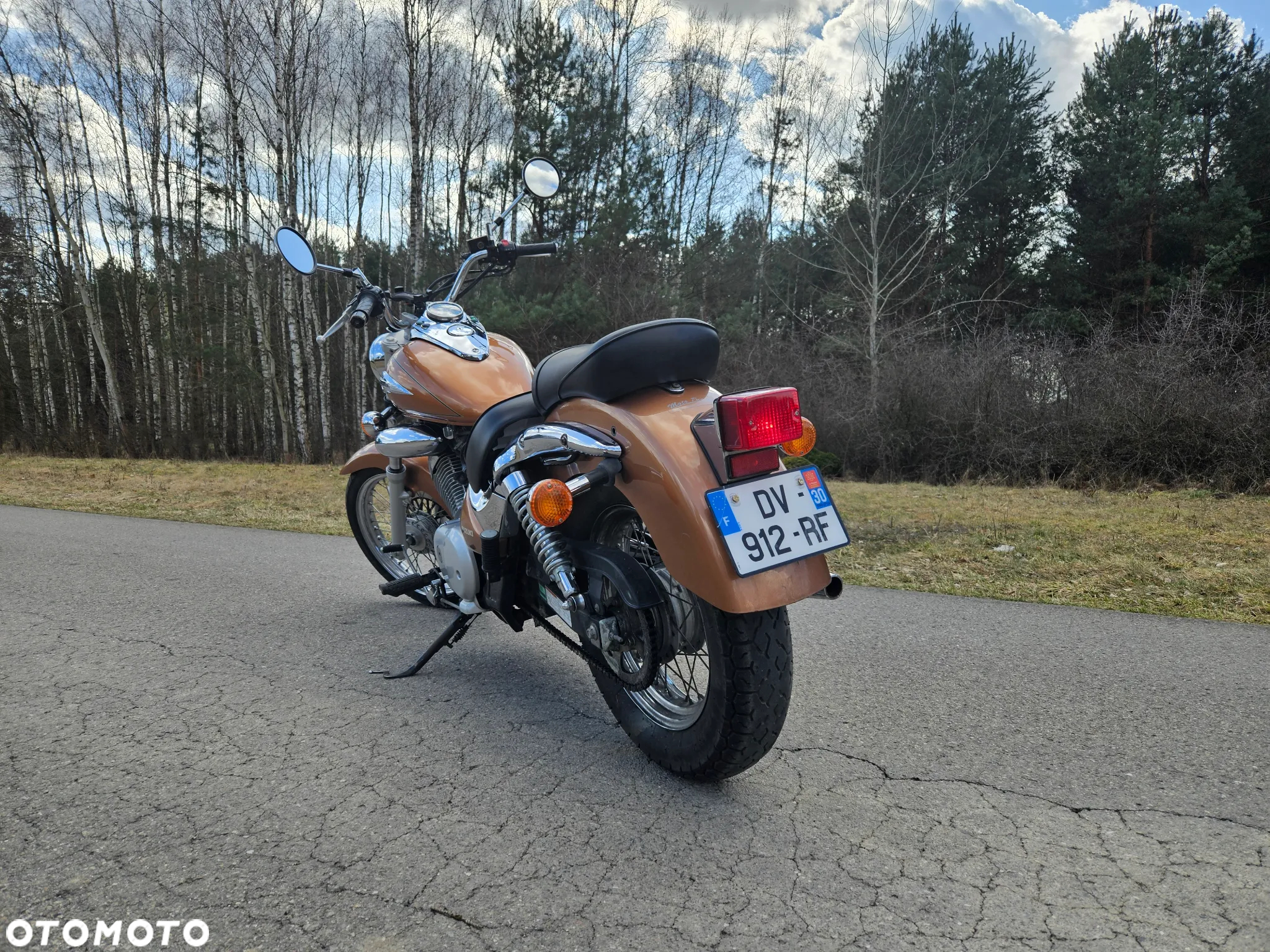 Suzuki Intruder - 3