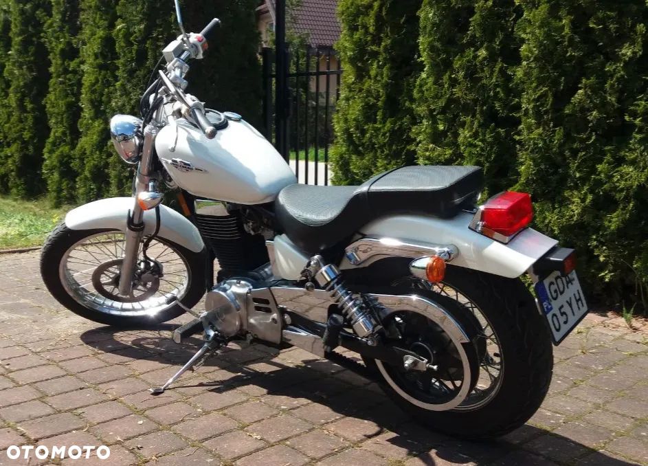 Suzuki Savage - 2