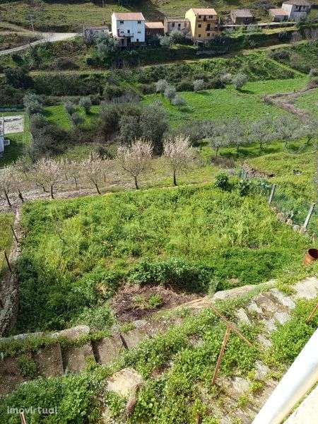 Terreno rústico em Moncorvo - Grande imagem: 2/5
