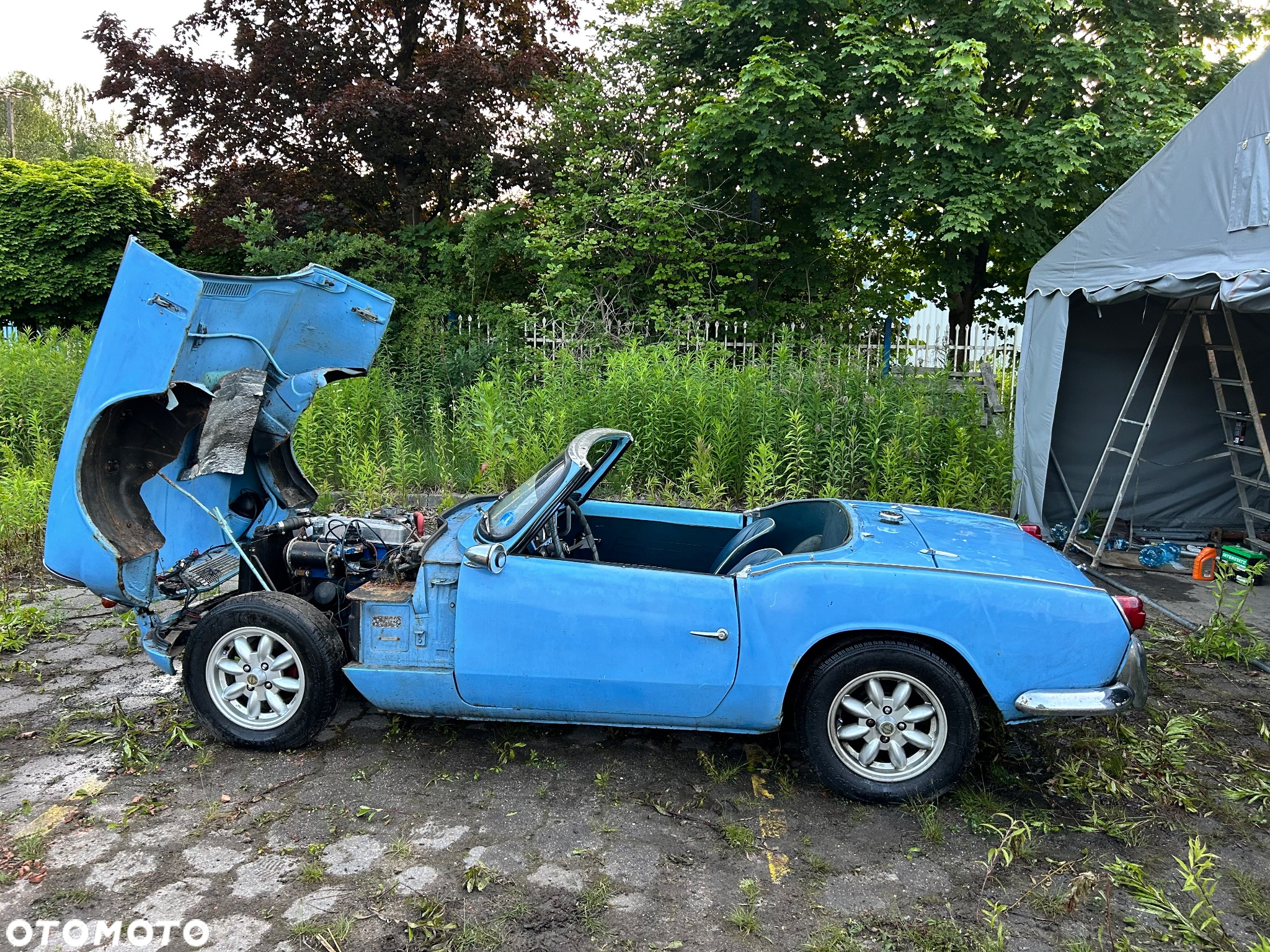Triumph Spitfire - 13