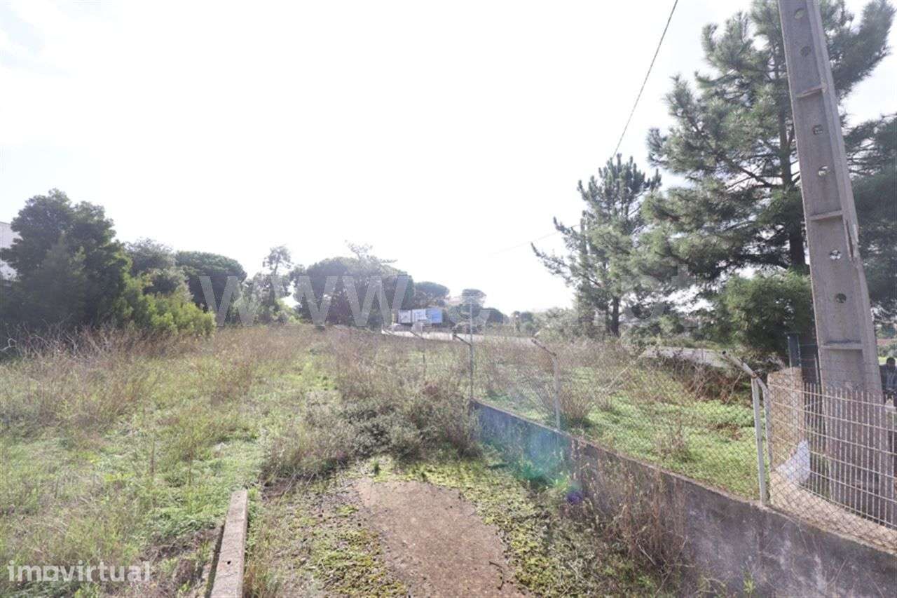 Terreno para serviços/comércio. Quinta da Bela Vista - Vale dos Gatos - Grande imagem: 2/4
