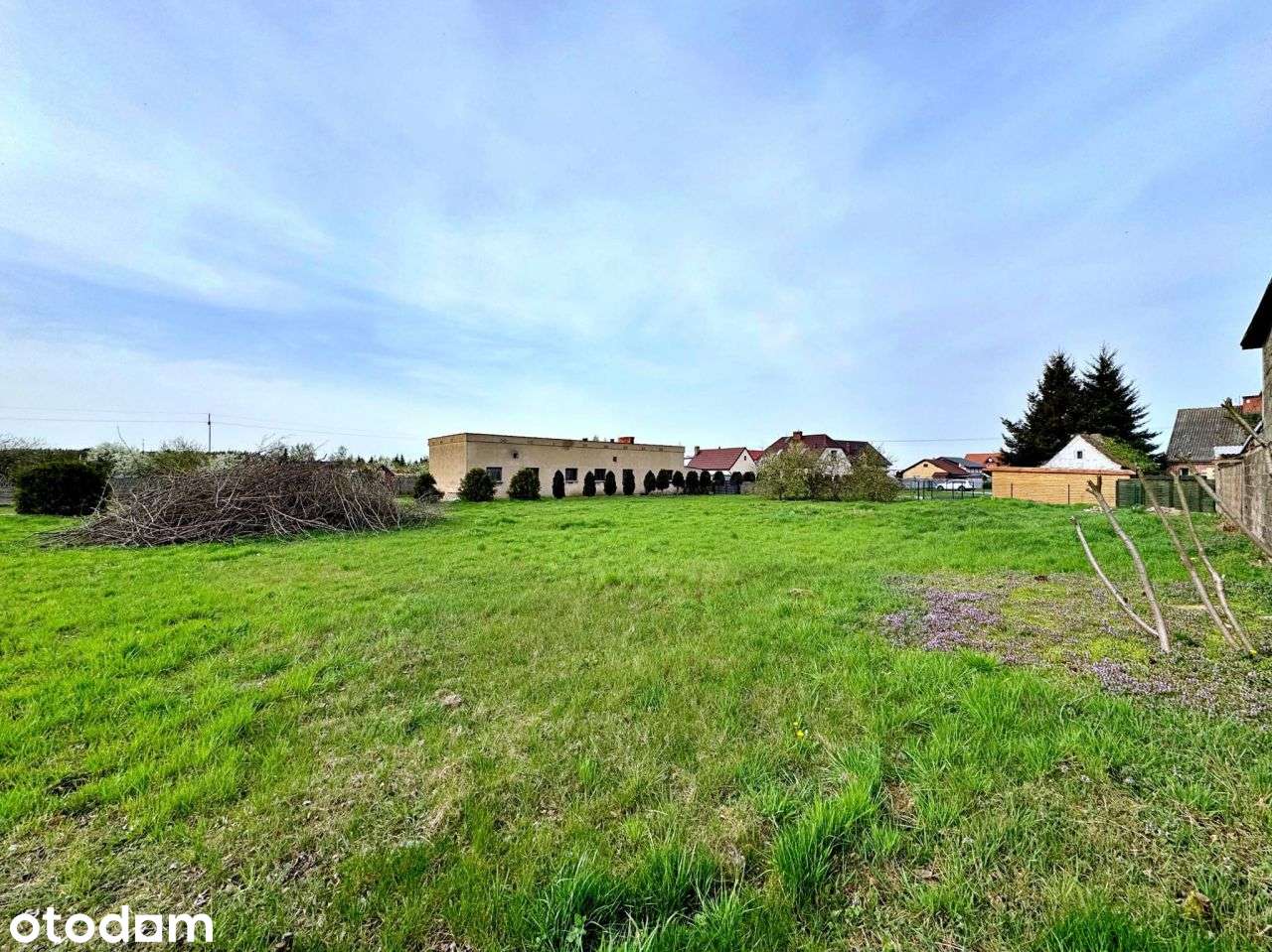Działka/Plac do Wynajęcia, Dk92 | Przyborki 1750m2 - Pełny obrazek: 4/8