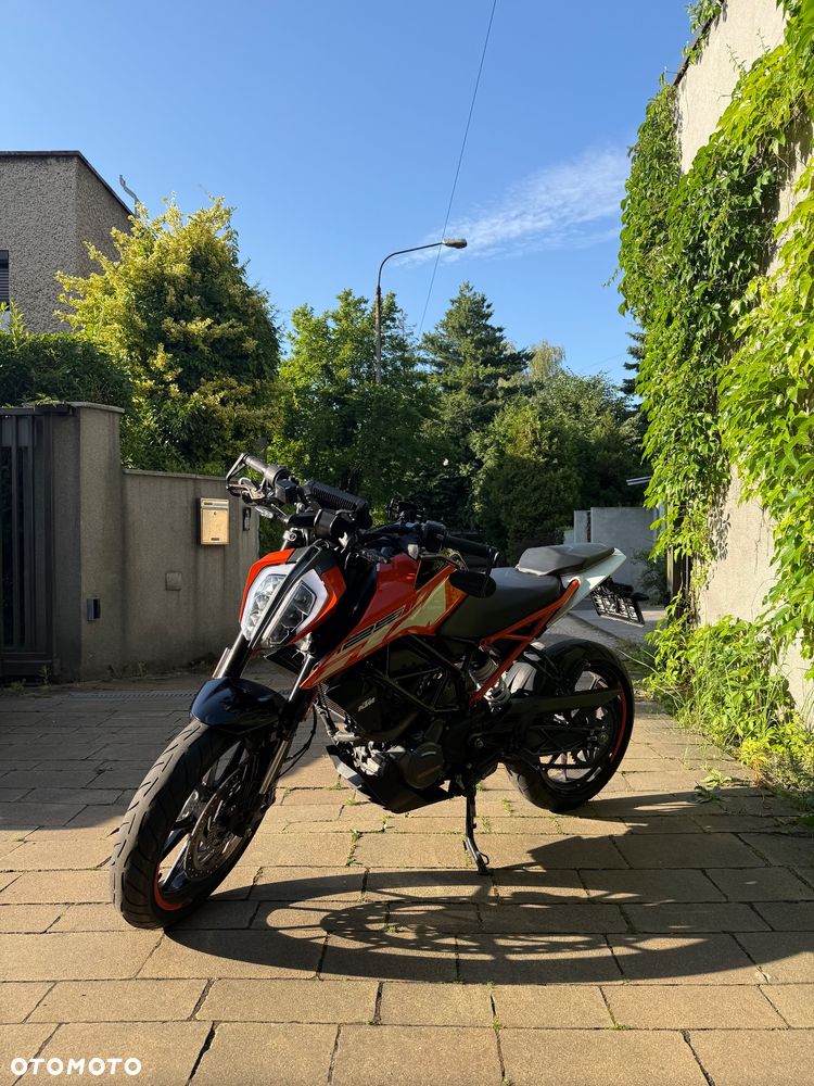 KTM Duke - 1