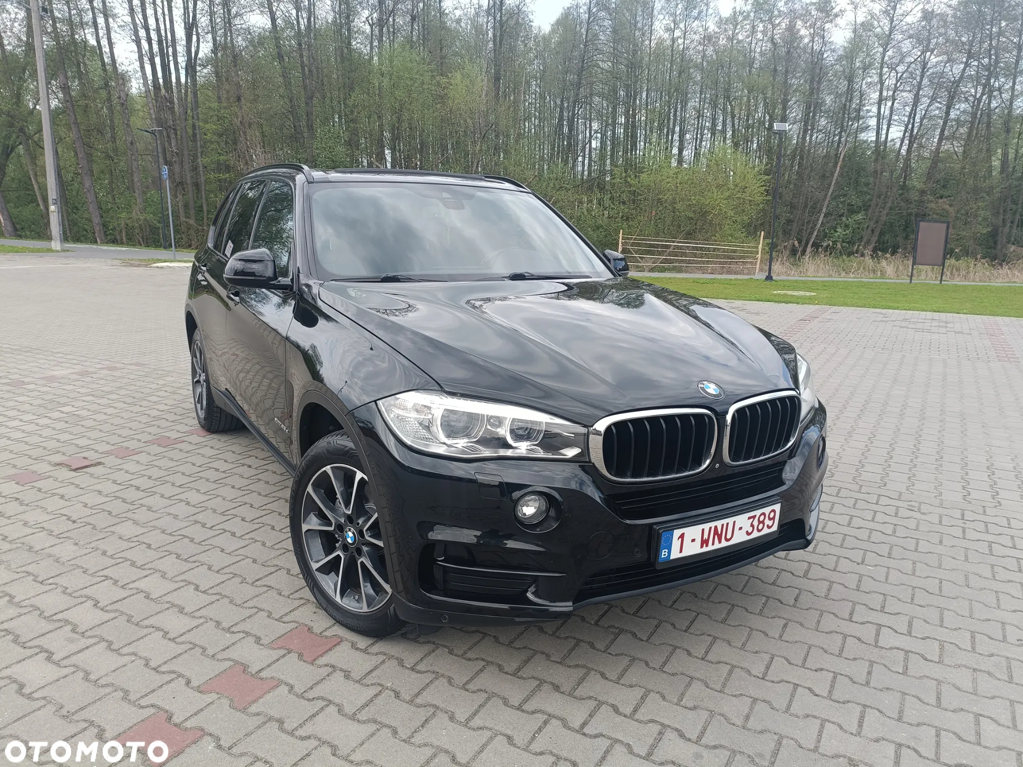 BMW X5 xDrive25d Sport-Aut - 14