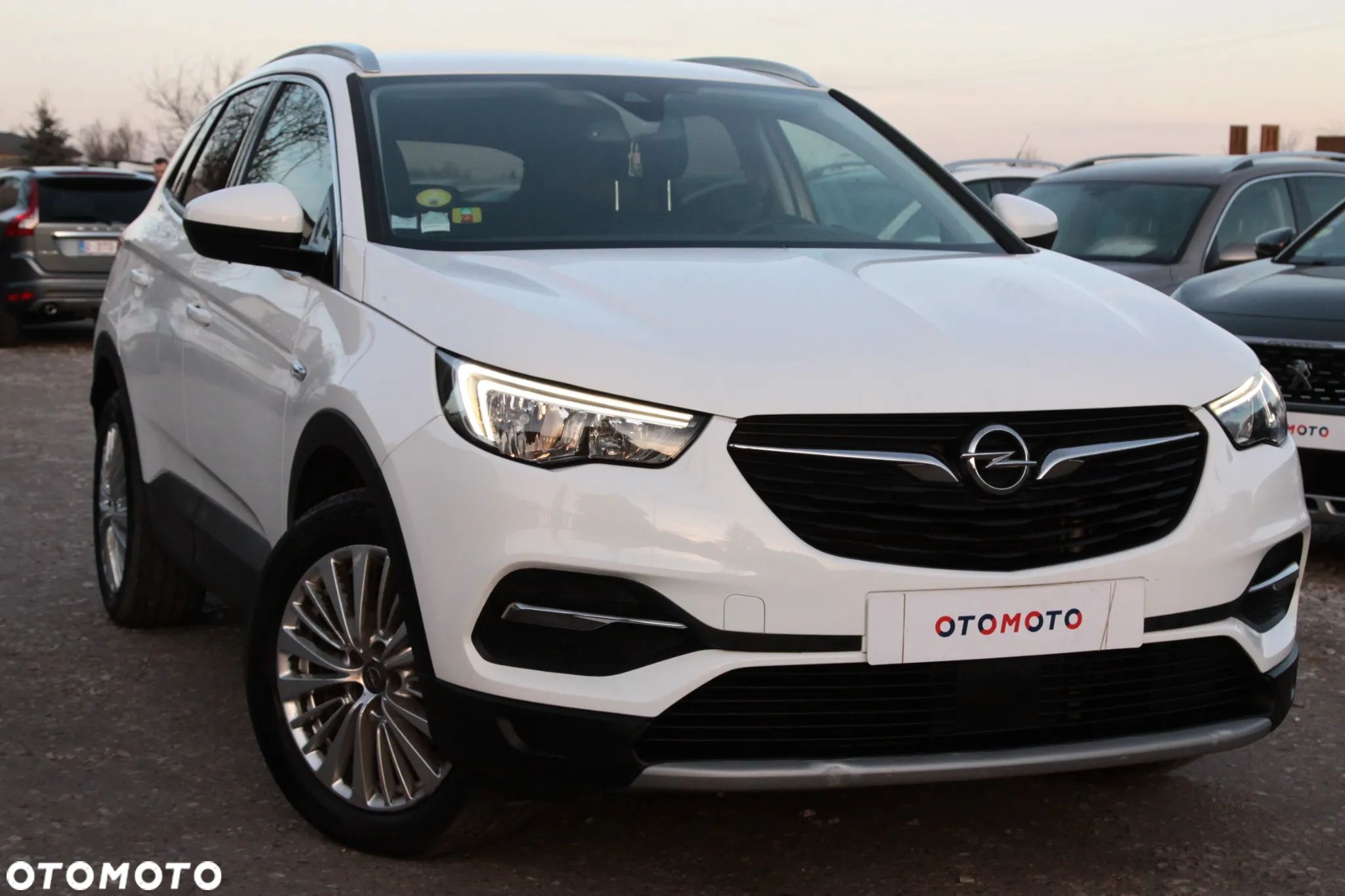 Opel Grandland X 1.6 CDTI Innovation S&S - 1