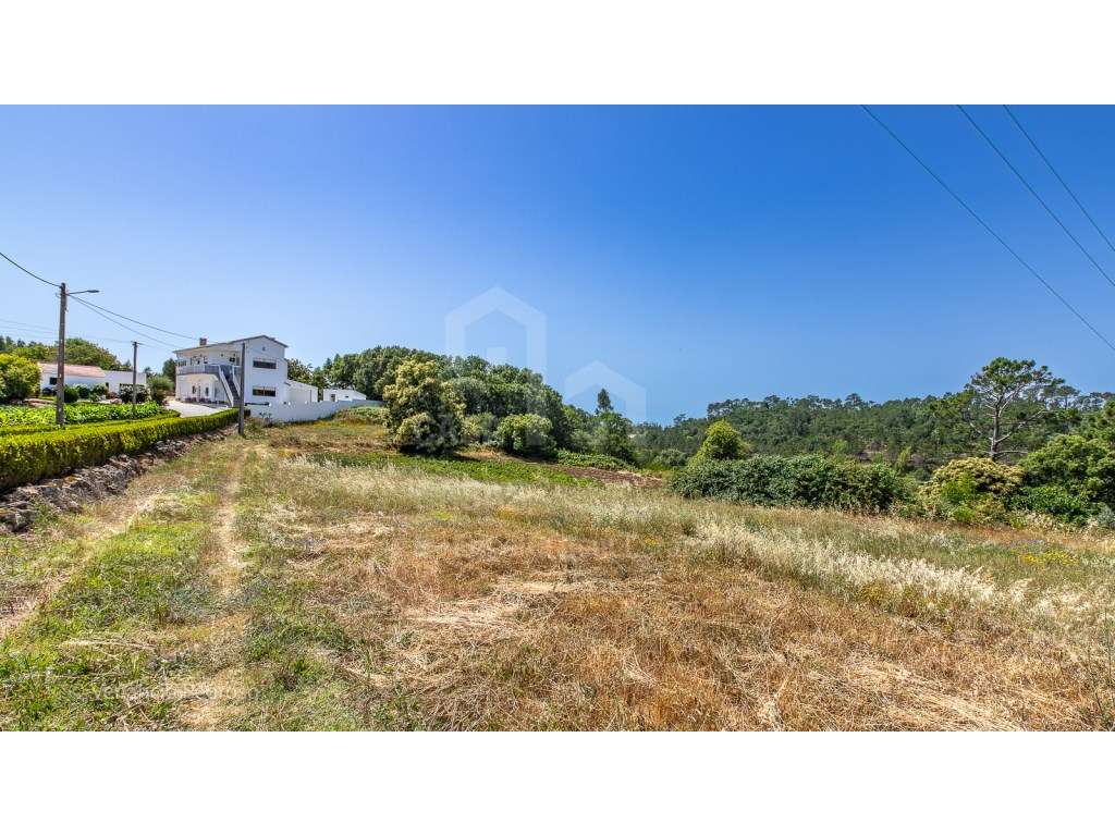 Vende Terreno - Ericeira 15 Km, A Casa das Casas - Grande imagem: 2/13