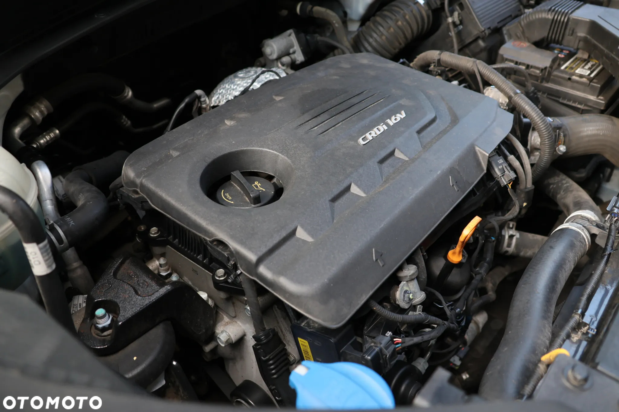 Kia Sportage - 22