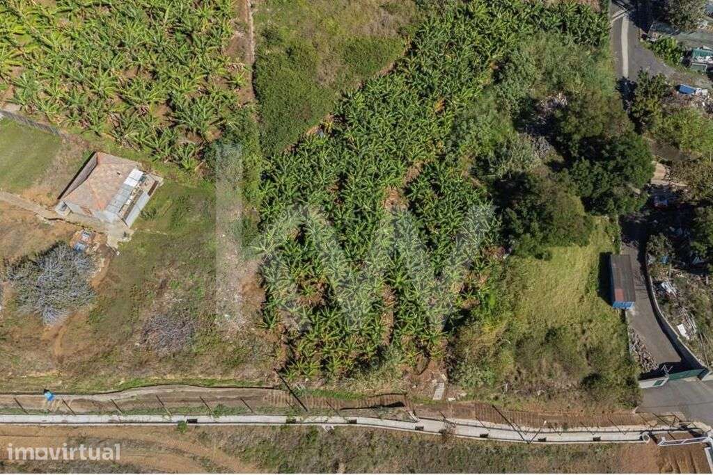 Terreno Urbanizável - 831m2 - São Martinho | Funchal - Grande imagem: 2/22