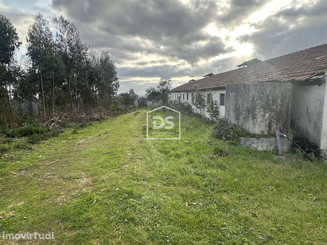Terreno Misto  Venda em Colmeias e Memória,Leiria - Grande imagem: 3/19