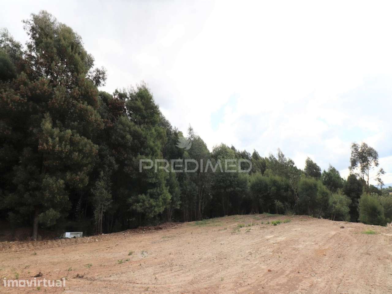 Terreno Rústico com 25.000 m² em São Pedro da Cova – Potencial Agrí... - Grande imagem: 4/6