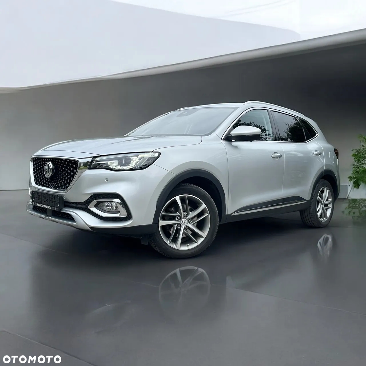 MG EHS - 2