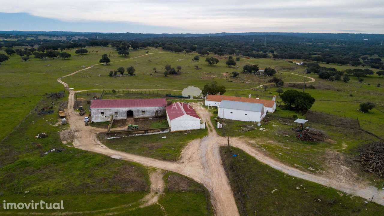Herdade com Capacidade Fotovoltaica - - Grande imagem: 2/9