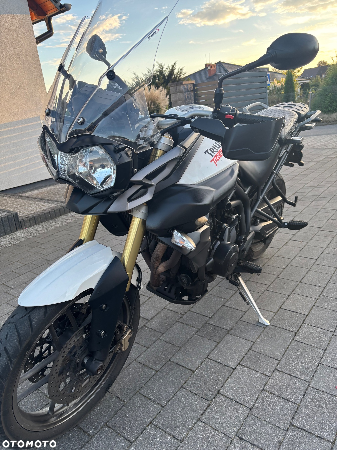 Triumph Tiger - 21