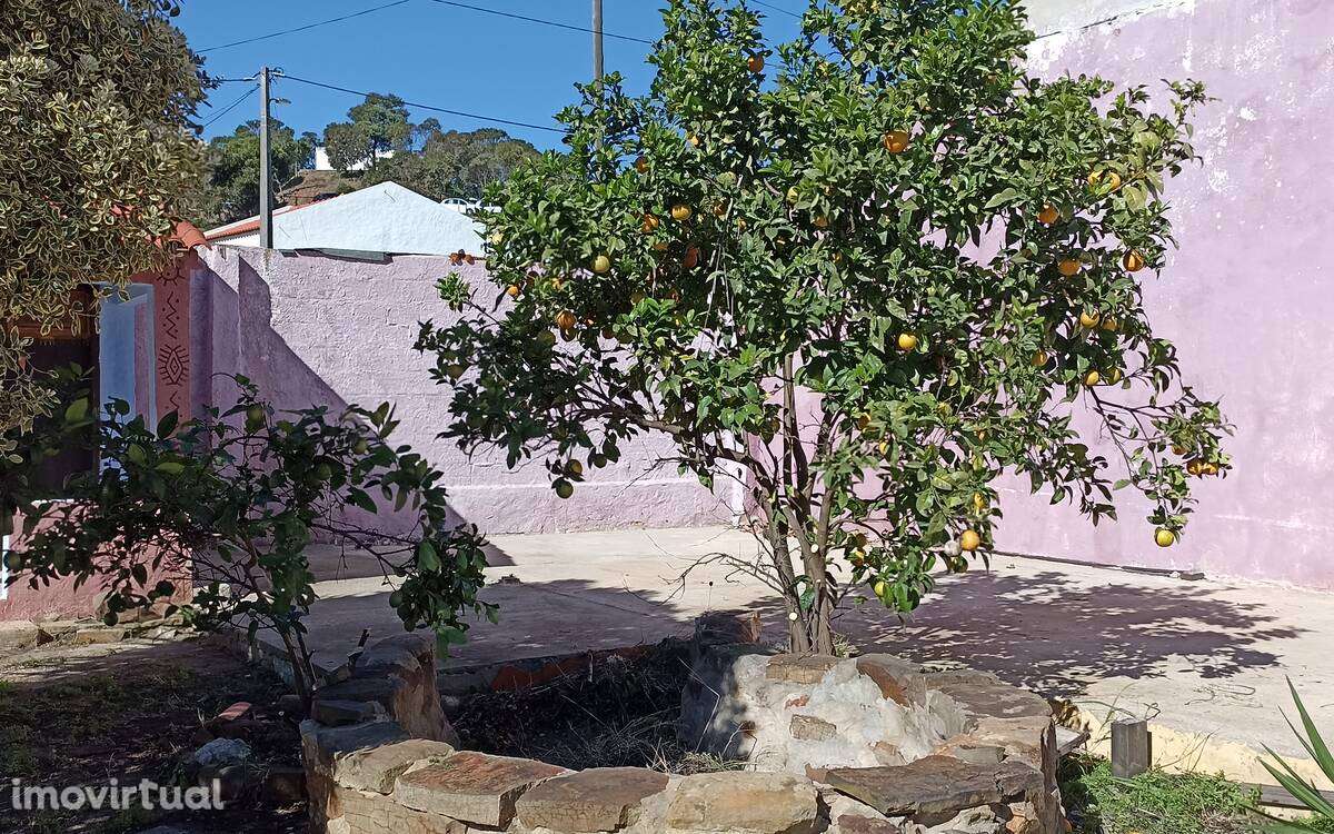 Loja em Barão de São João - Grande imagem: 5/11
