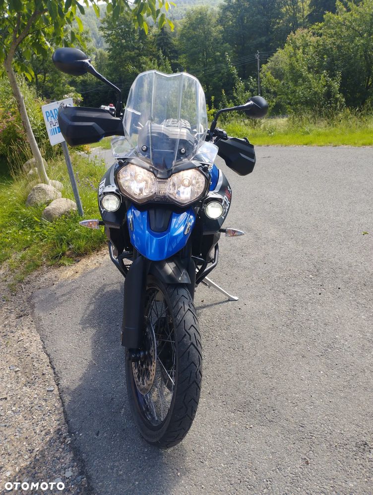 Triumph Tiger - 4