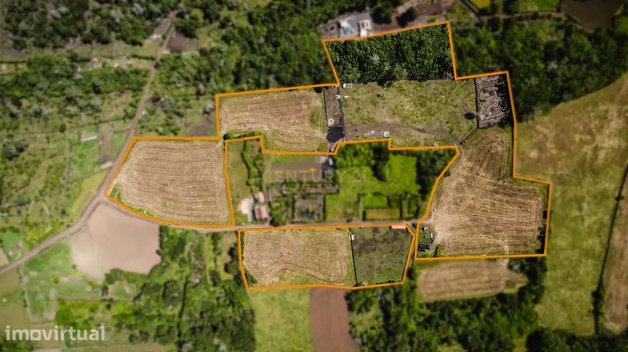 Terreno à Venda na Madalena, Ilha do Pico - 43.000m² - Grande imagem: 4/7