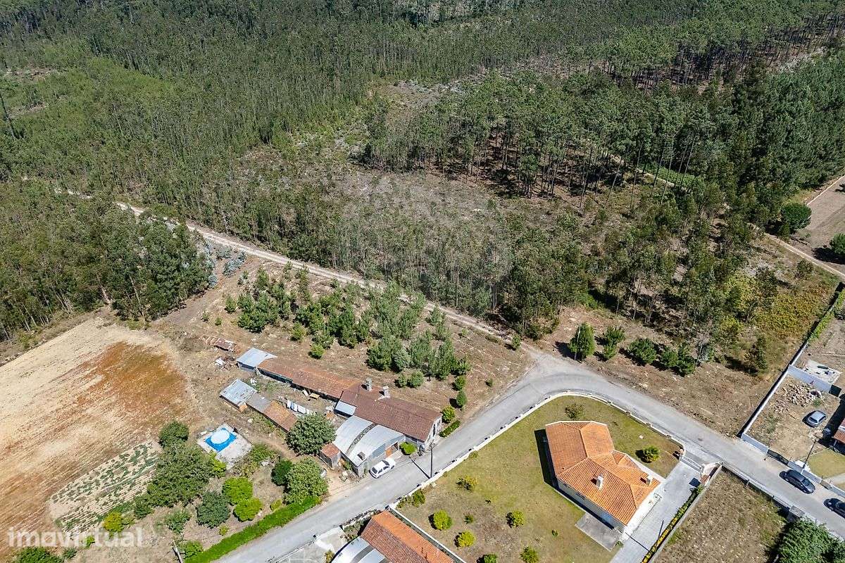 Terreno  para venda - Grande imagem: 2/10